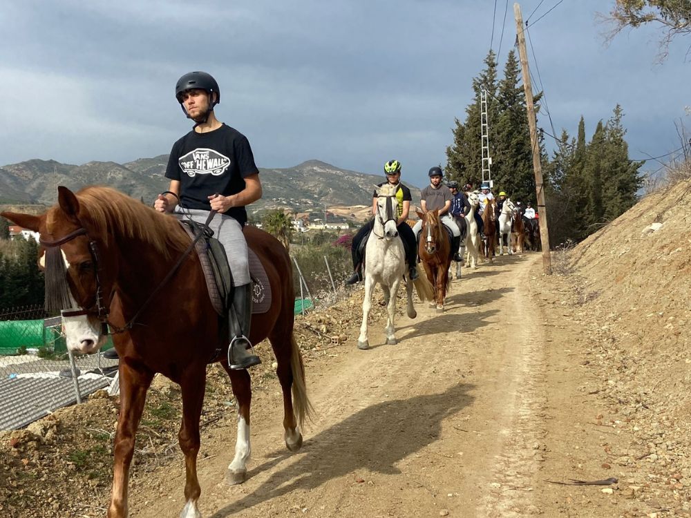 Especialízate en el cuidado de caballos con la formación TECO en Málaga