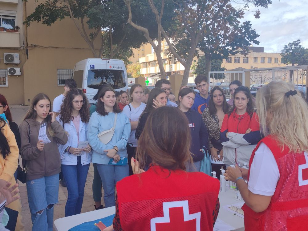 Funciones y servicios de un centro de día. fp dependencia en malaga. cuidado de personas dependientes málaga