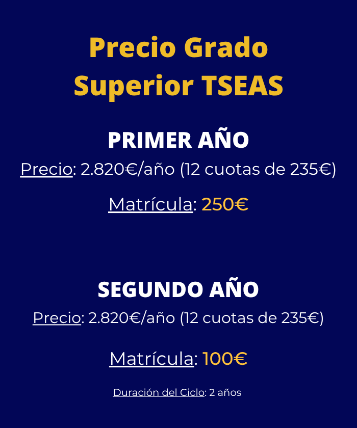 Precio curso 2026-27 tseas grado superior malaga y técnico superior en enseñanza y animación sociodeportiva malaga para dispositivos móviles.