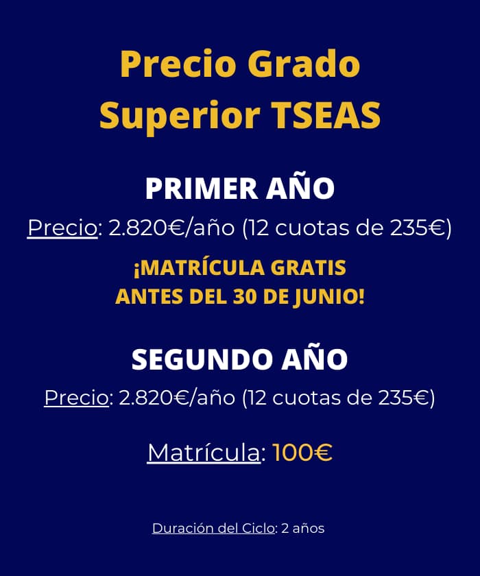 Precio curso 2026-27 tseas grado superior malaga y técnico superior en enseñanza y animación sociodeportiva malaga para dispositivos móviles.