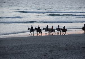 paseos a caballo cerca de mi