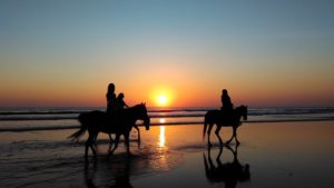paseos y rutas a caballo por la playa